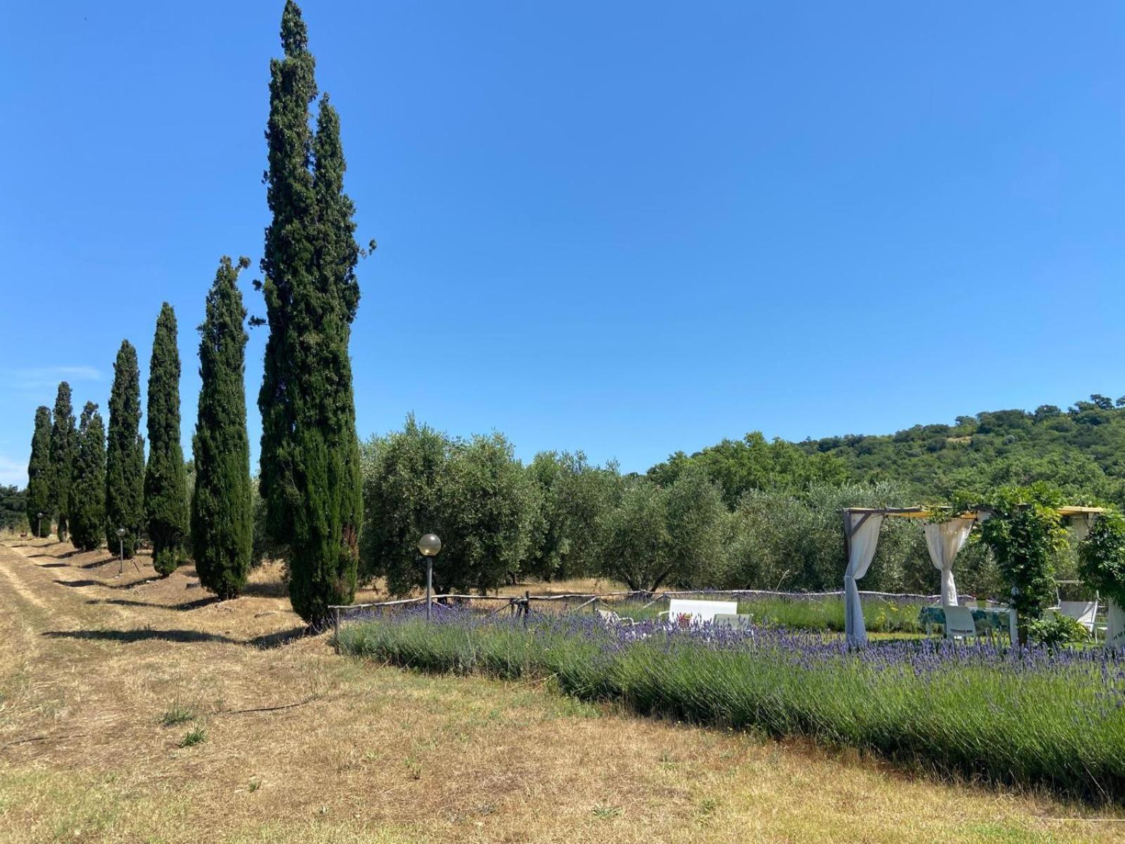 Tenuta Le Mandorlaie, Agriturismo In Scansano Exterior foto