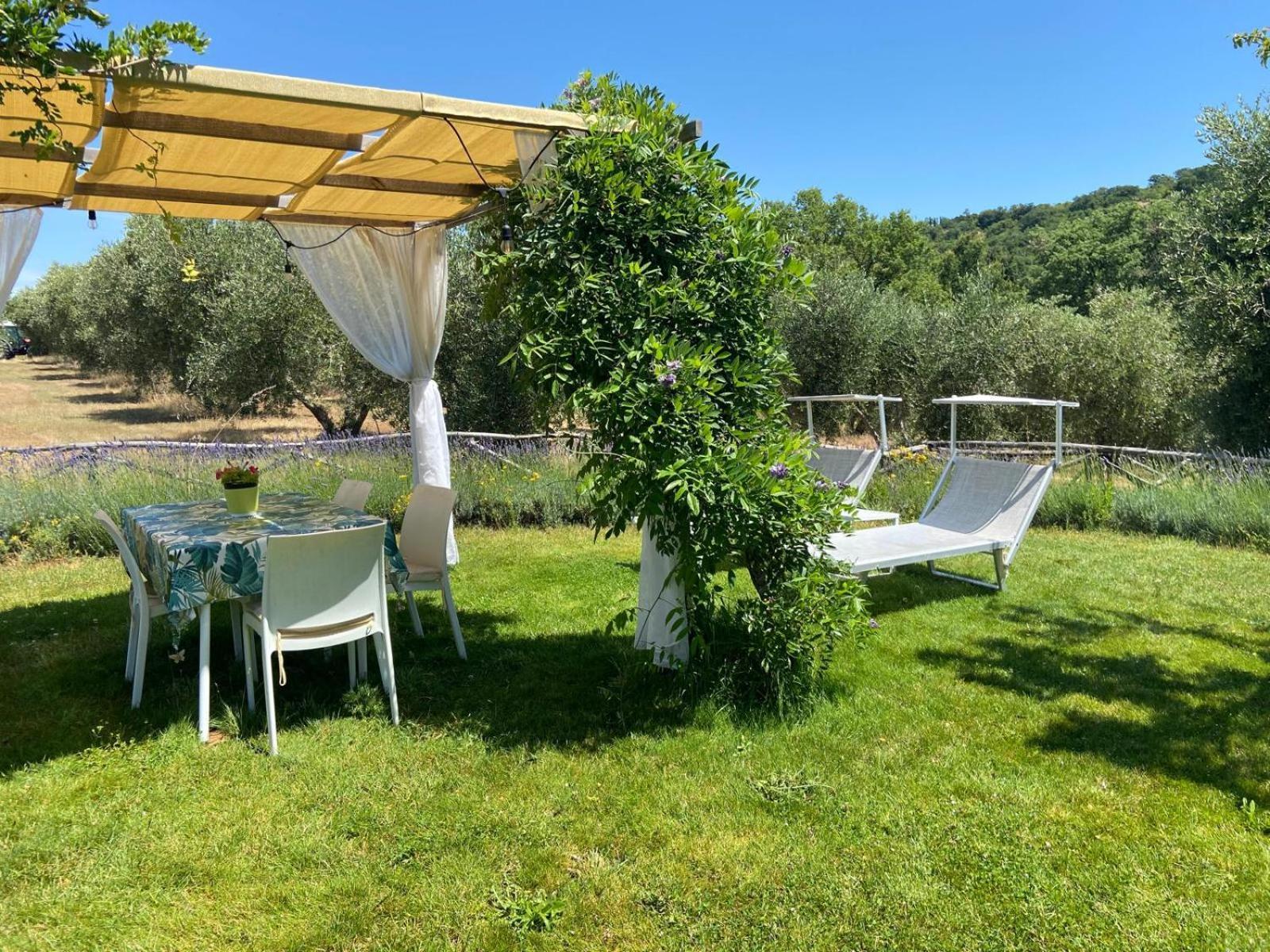 Tenuta Le Mandorlaie, Agriturismo In Scansano Exterior foto